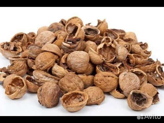 Скорлупа грецкого ореха купить в Москве | Товары для дома и дачи | Авито
