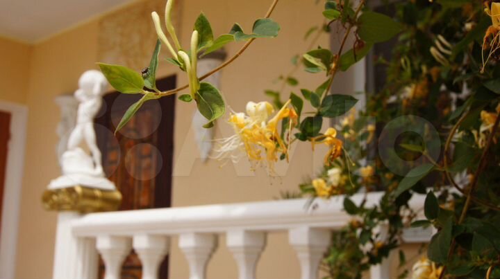 Комната 15 м², 2/2 эт.