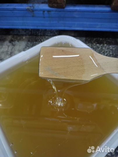 Липовый мёд оптом Свежий