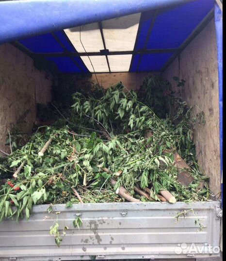 Вывоз мусора