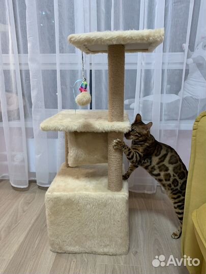 Домик для кошки с когтеточкой