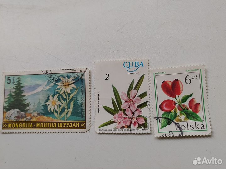 Почтовые марки СССР, Монголии