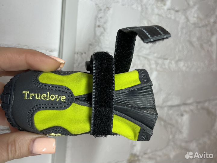 Обувь для собак