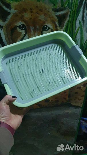 Лоток для котят
