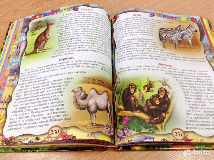 Большая энциклопедия дошкольника