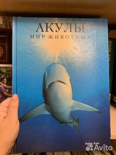Книги Мир животных Крокодилы, Акулы