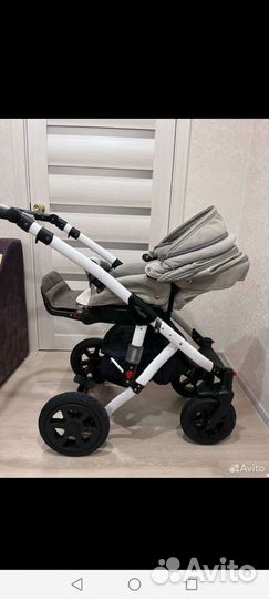 Коляска 2 в 1 Adamex barletta