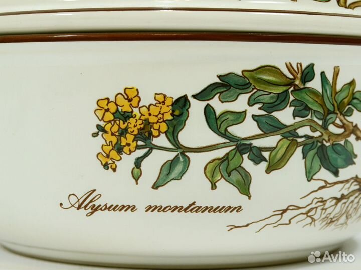 Botanica Villeroy Boch супница Alysum montanum