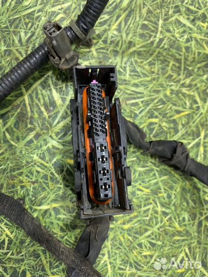 Проводка двигателя Nissan Almera Classic седан 1.6