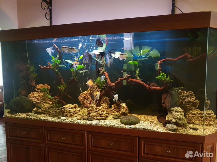 Обслуживание аквариумов