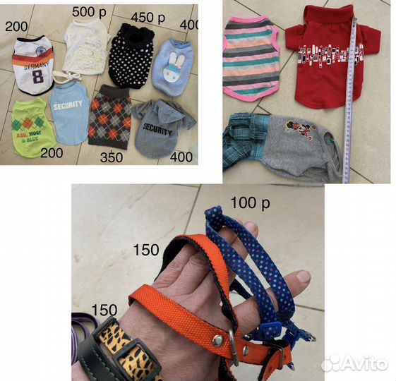 Лоток шлейки одежда для маленьких собак