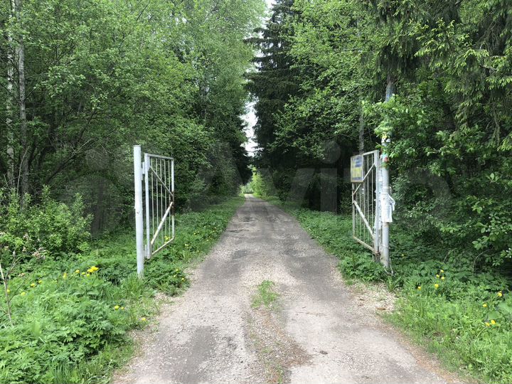 Участок 10 сот. (СНТ, ДНП)