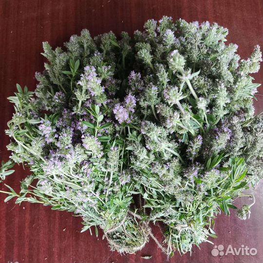 Мята, донник, чебрец, шалфей, зверобой