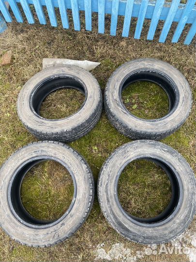 Dunlop SP Winter Maxx WM01 185/65 R15 88Q