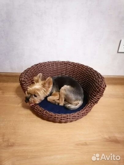 Лежанка для животных из ротанга