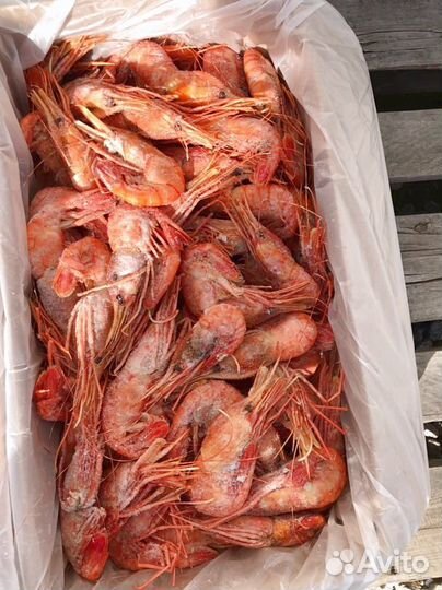 Креветка Ботан