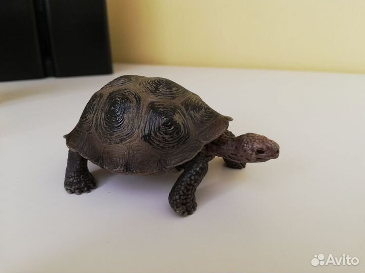 Schleich фигурки черепаха жеребец ахалтекинский