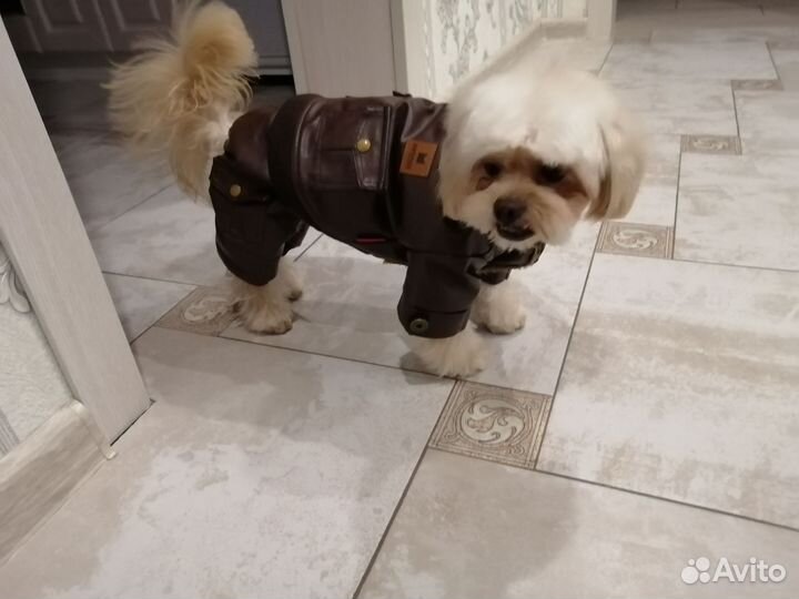 Вязка Пикапу