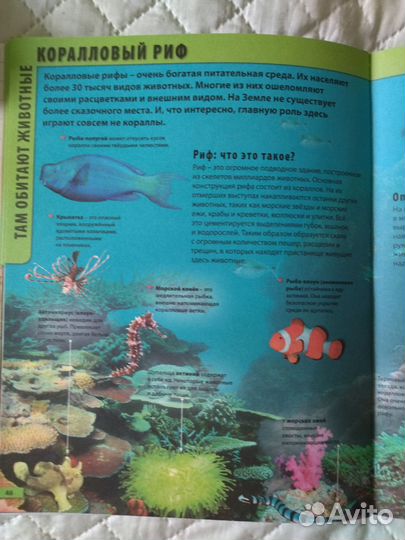 Большая энциклопедия для младших школьников