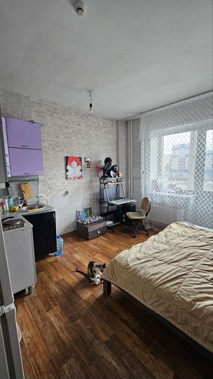 Квартира-студия, 24 м², 2/9 эт.