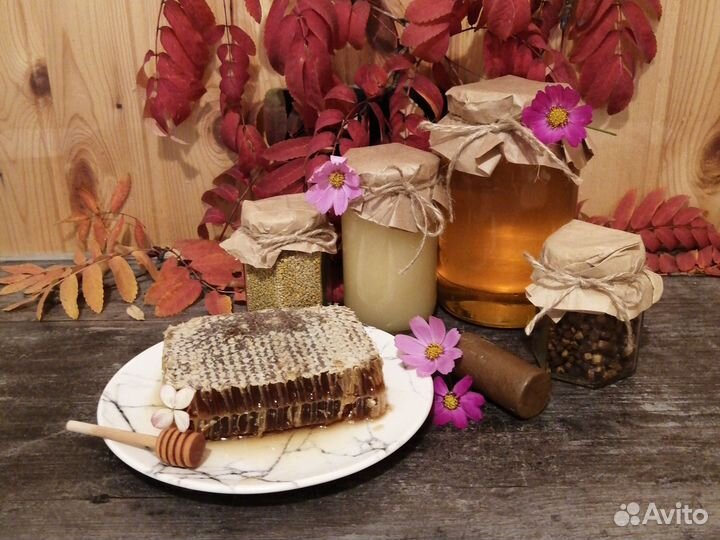 Алтайский Мед 2023, пыльца, прополис, перга Слнчн