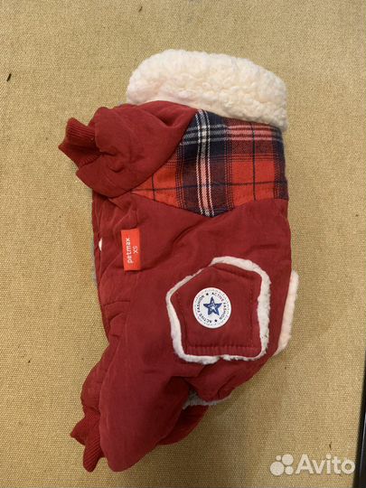 Одежда для маленьких собак