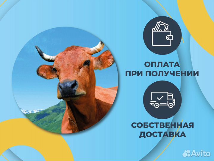 Веники для бани- донник
