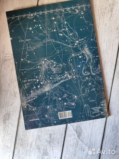 Папка выпускника