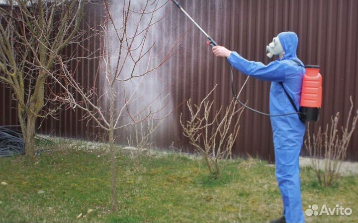 Средство для Уничтожения клопов травли тараканов, блох