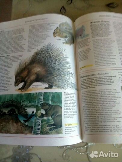 Детские,познавательные энциклопедии