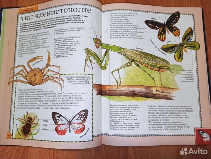 Детская энциклопедия