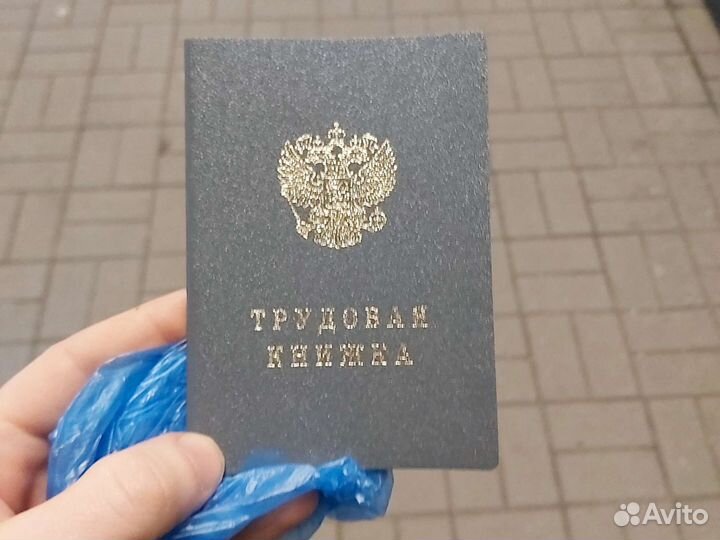 Трудовая книжка