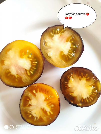 Семена помидоров томатов