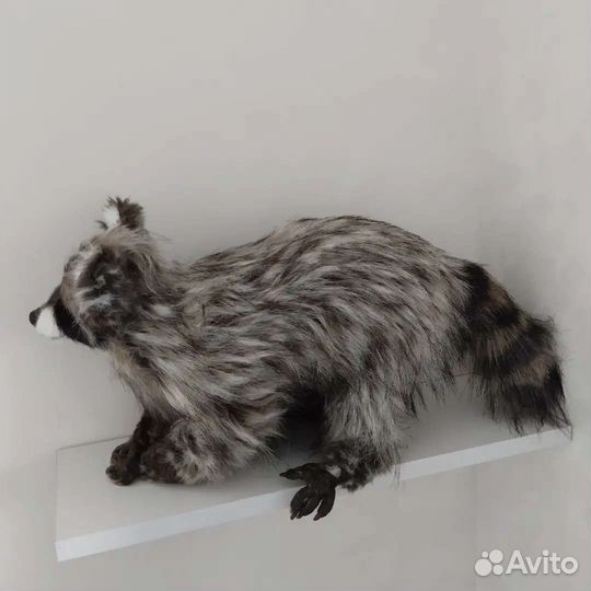 Мягкая игрушка Енот Гоша