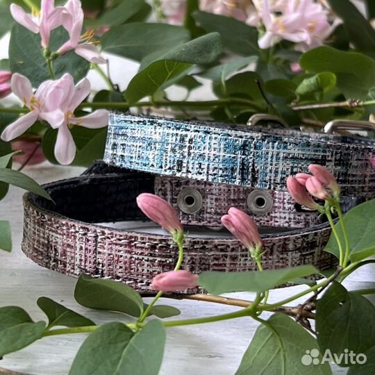 Ошейник для собак