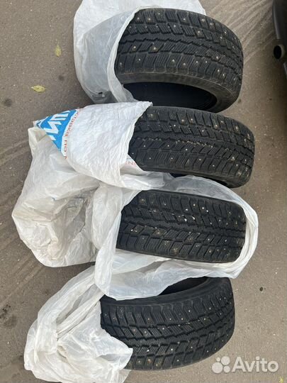 Roadstone Winguard 231 205/55 R16