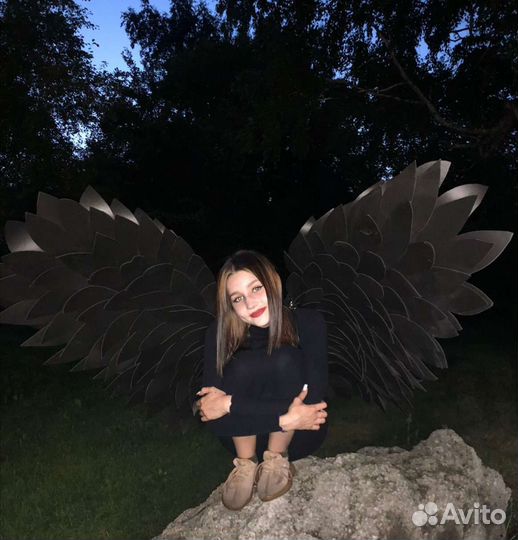 Крылья черные. Прокат