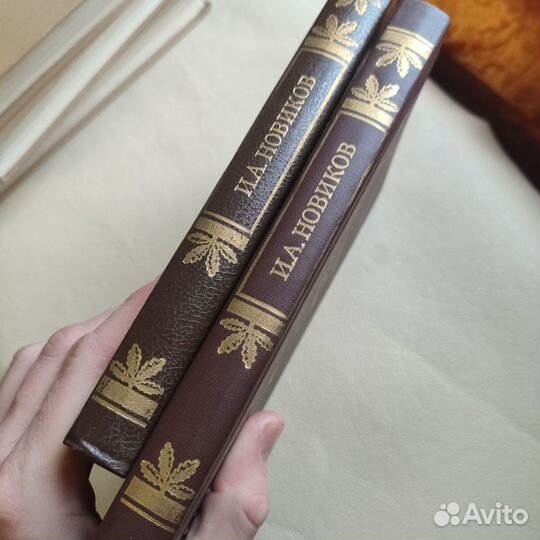 И.А.Новиков Пушкин в изгнании два тома