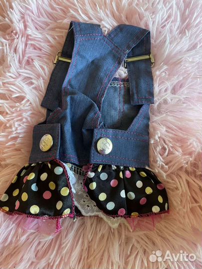 Одежда для маленьких пород собак