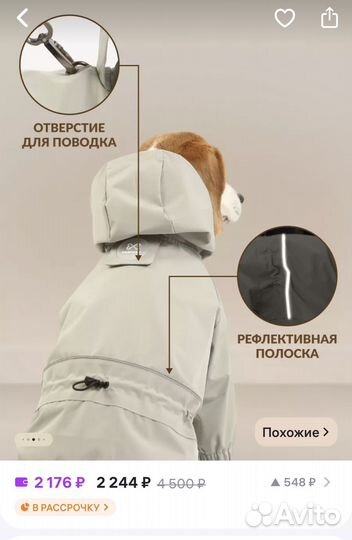 Дождевик и шлейка для собак всех пород