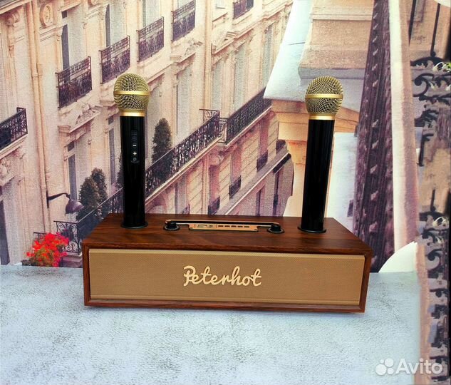 Супер Караоке Система под дерево