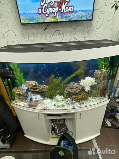 Чистка и уход за аквариумами