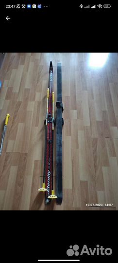 Горные лыжи