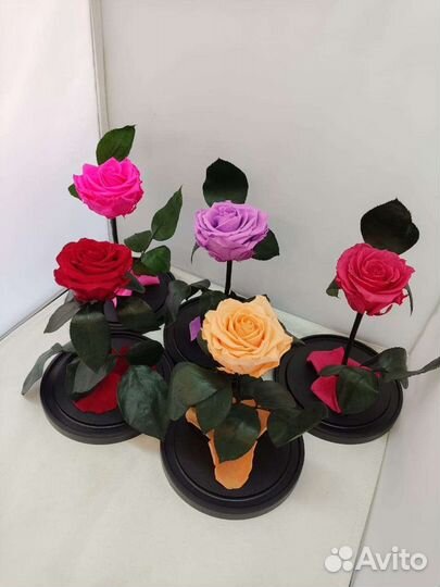 Роза в колбе опт и розница