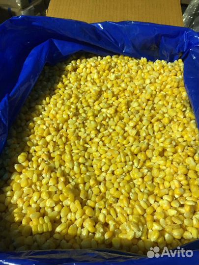 Кукуруза в зерне Индия. Целое зерно