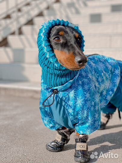 Зимний комбинизон для собаки таксы