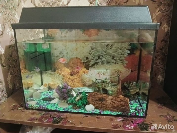 Аквариум