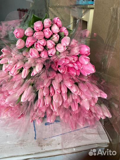 Тюльпаны к 8 марта оптом