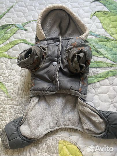 Комбинезон для собаки