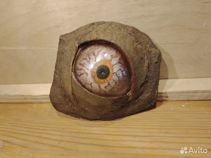 Глаз плоти из Сталкер Тень Чернобыля